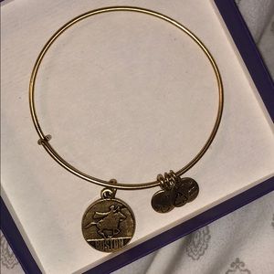 Alex and Ani Bracelet - Boston